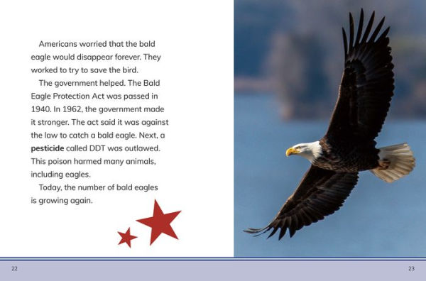 The Bald Eagle: All About the American Symbol
