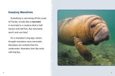 Alternative view 3 of Manatees