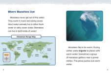 Alternative view 4 of Manatees