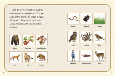 Alternative view 3 of Is It a Food Web or a Food Chain?