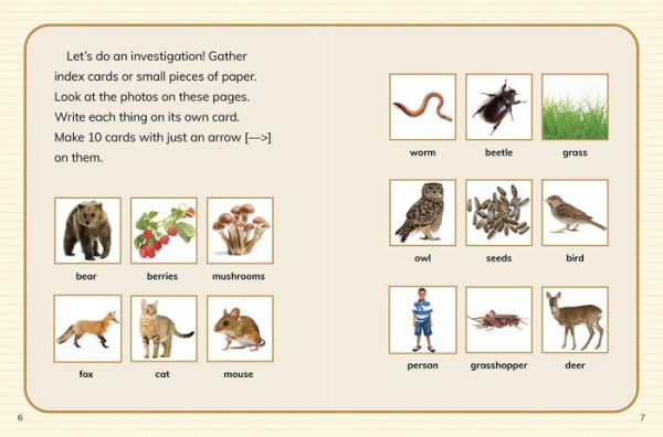 Is It a Food Web or a Food Chain?