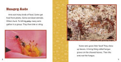 Alternative view 2 of Fast Facts About Ants