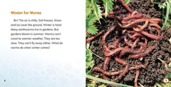 Where Do Worms Go in Winter?: Answering Kids' Questions
