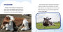 Alternative view 11 of Why Do Cows Sleep Standing Up?: Answering Kids' Questions