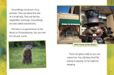 Alternative view 2 of Groundhog Day