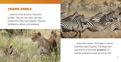 Alternative view 4 of Animals of the African Savanna