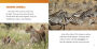 Alternative view 4 of Animals of the African Savanna