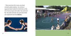 Alternative view 2 of Wrestling Fun