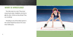 Alternative view 3 of Wrestling Fun