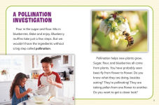 Alternative view 3 of How Are Plants Pollinated?