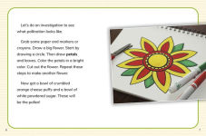 Alternative view 4 of How Are Plants Pollinated?