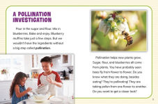 Alternative view 5 of How Are Plants Pollinated?