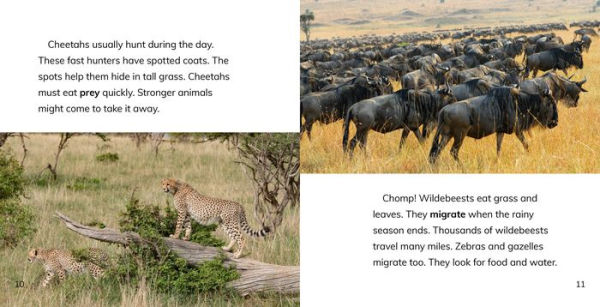 Animals of the African Savanna