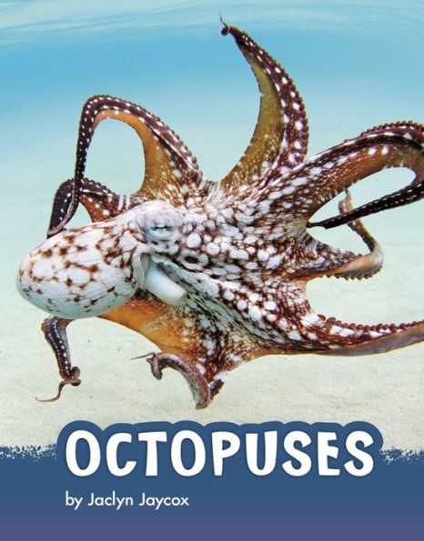 Octopuses