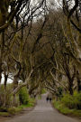 A View of the Dark Hedges Ireland Journal: 150 Page Lined Notebook/Diary