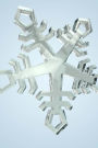 Snowflake 6 Journal: Take Notes, Write Down Memories in this 150 Page Lined Journal