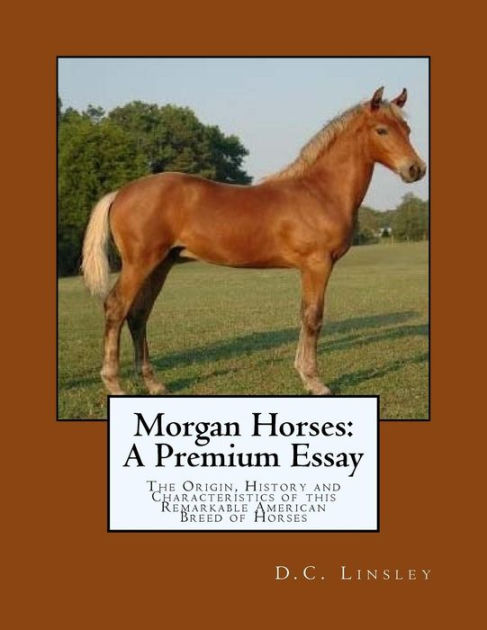 Justin morgan had a horse critical essays picture