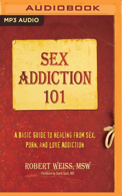 Sex Addiction 101 A Basic Guide To Healing From Sex Porn And Love Addiction By Robert Weiss 