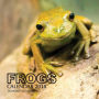 Frogs Calendar 2018: 16 Month Calendar