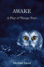 Awake: A Play