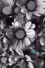 Flow: Gratitude Journal to Reflect on Personal Gratitude, 6x9 Lined Journal (Diary), Mindfulness Gratitude Book, Daily Gratitude Journal