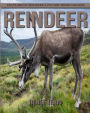 Facts About Reindeer A Picture Book For Kids