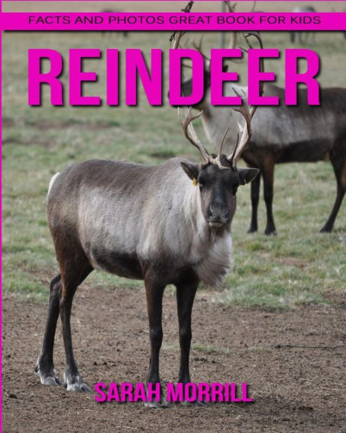 reindeer facts for kids