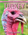 Turkey: Fun & Educational Facts About Turkey