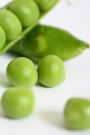 Peas Notebook