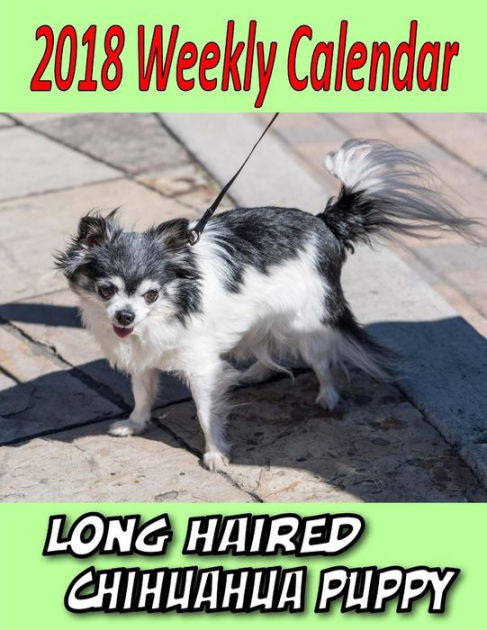 2018 Weekly Calendar Long Haired Chihuahua Puppy Dog Quote