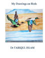 My Drawings on Birds