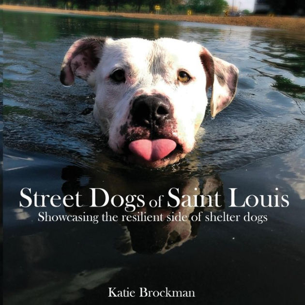 Street Dogs of Saint Louis Showcasing the resilient side of shelter