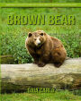 Brown Bear: Amazing Fun Facts and Pictures about Brown Bear for Kids
