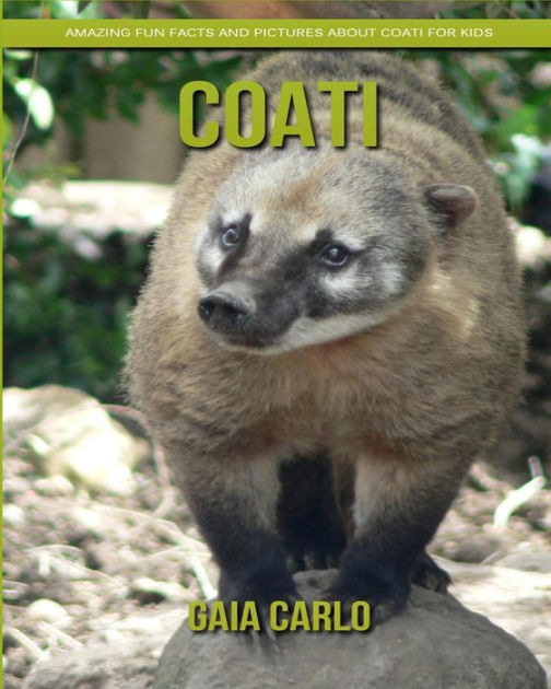 Coati: Amazing Fun Facts and Pictures about Coati for Kids by Gaia