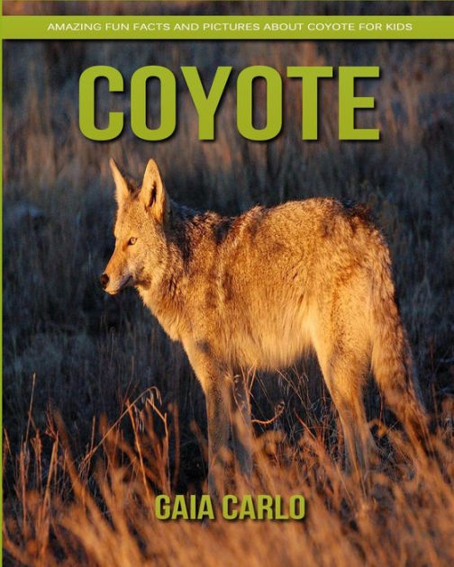 Coyote: Amazing Fun Facts And Pictures About Coyote For Kids By Gaia 