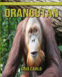 Orangutan: Amazing Fun Facts and Pictures about Orangutan for Kids