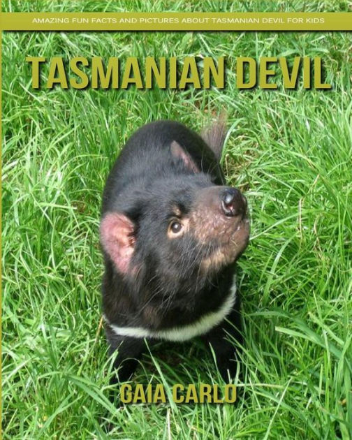 Tasmanian Devil: Amazing Fun Facts and Pictures about Tasmanian Devil
