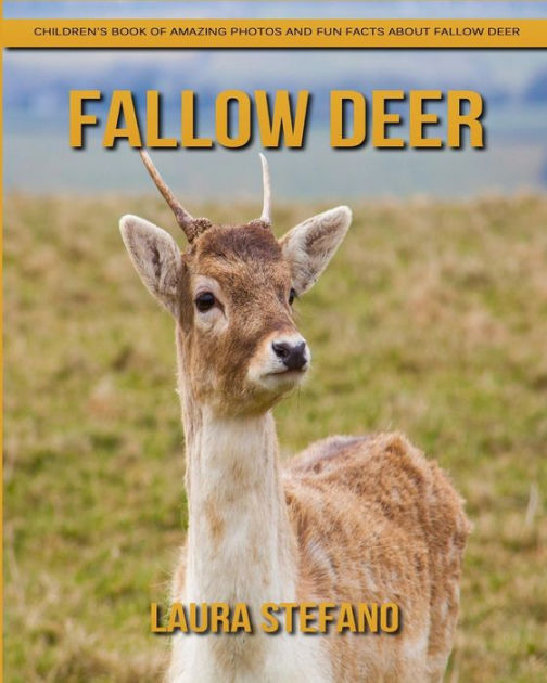 fallow deer facts