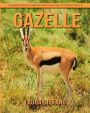 Gazelle: Children's Book of Amazing Photos and Fun Facts about Gazelle