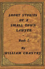 Short Stories of a Small Town Lawyer, Book 2