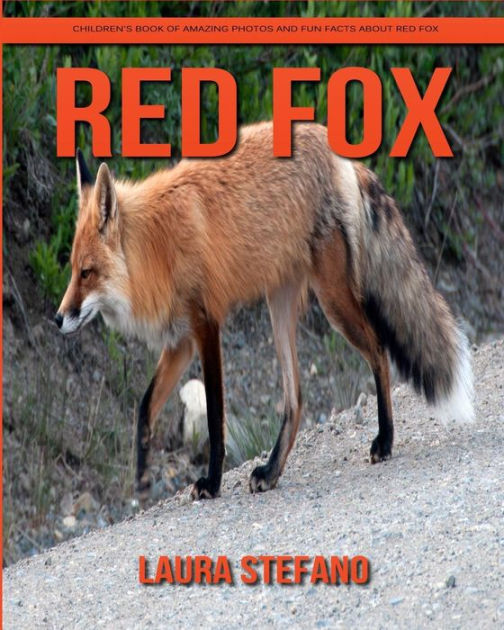 Fox - Amazing Facts about Fox | Kids Picture Book