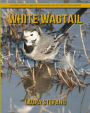 White Wagtail: Children's Book of Amazing Photos and Fun Facts about White Wagtail