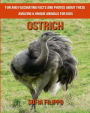 Ostrich: Fun and Fascinating Facts and Photos about These Amazing & Unique Animals for Kids
