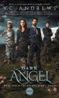 Dark Angel (Casteel Series #2)