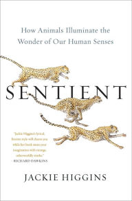 Title: Sentient: How Animals Illuminate the Wonder of Our Human Senses, Author: Jackie Higgins