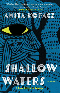 Title: Shallow Waters: A Novel, Author: Anita Kopacz