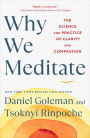 Why We Meditate: The Science and Practice of Clarity and Compassion