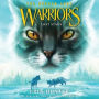 Lost Stars (Warriors: The Broken Code Series #1)
