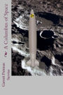 A Columbus of Space