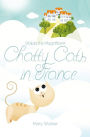 Chatty Cats in France: Waldo the Magnificent